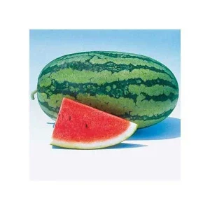 Hybrid Watermelon Seeds