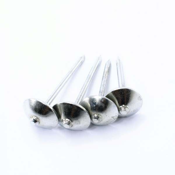 SS 55x4mm Roofing Nails – Ultimate Roofing Solutions