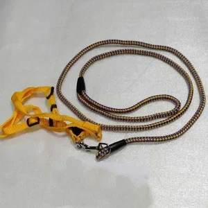4.5 Feet Blue & Yellow Color Dog Belt